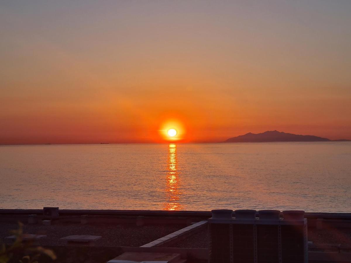 Corse, Residence Marina Di Bravone, Acces Direct Plage Linguizzetta المظهر الخارجي الصورة