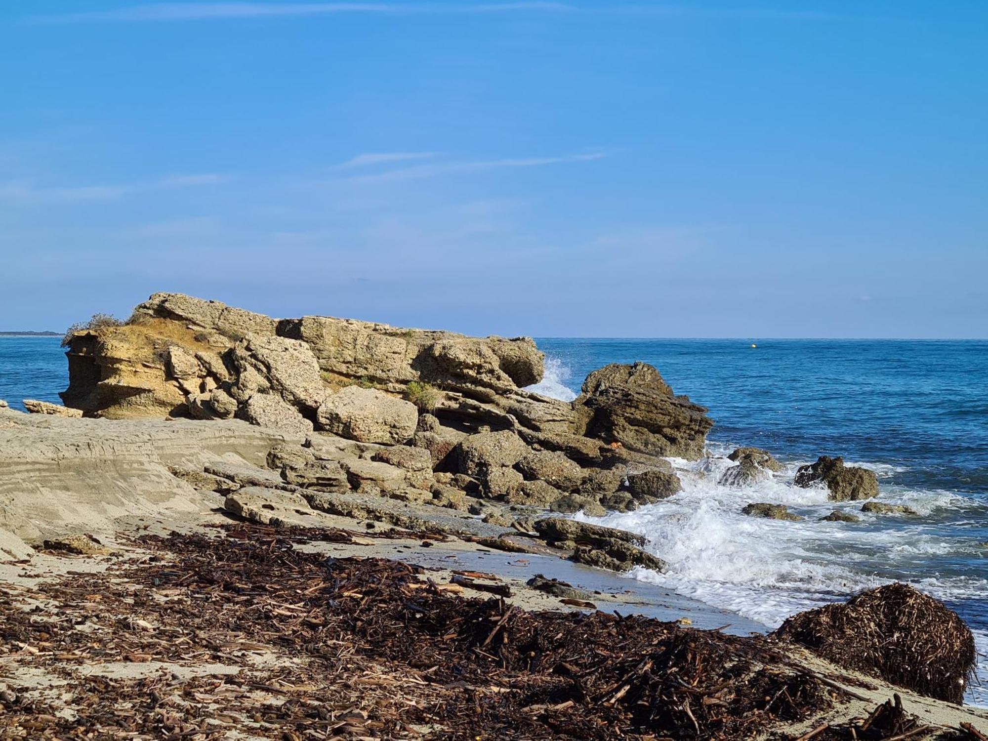 Corse, Residence Marina Di Bravone, Acces Direct Plage Linguizzetta المظهر الخارجي الصورة